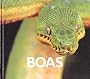 Boas (Naturebooks: Reptiles and Amphibians)