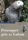 Le Perroquet gris du Gabon