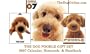 THE DOG Artlist - Poodle Gift Set - 2007 Calendar, Notecards and Handbook