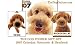   - THE DOG Artlist - Poodle Gift Set - 2007 Calendar, Notecards and Handbook
