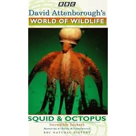 David Attenborough's World Of Wildlife 7 - Squid And Octopus [VHS]