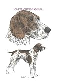 German Shorthair - Double Image by Cindy Farmer