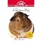 raise healthy guinea pigs
