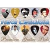 Elvis Presley Premium Gitarre Plektren X 10 (CR)