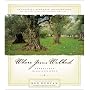 Where Jesus Walked: Experience the Presence of God
