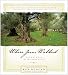 Where Jesus Walked: Experience the Presence of God