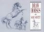 Draw Horses With Sam Savitt