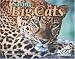 Book Saving Big Cats 2006 Calendar