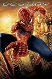 Spiderman (Destiny) Movie Poster Print - 24 X 36