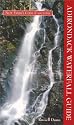 Adirondack Waterfall Guide: New York's Cool Cascades