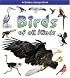 Birds of All Kinds (What Kind of Animal Is It?)