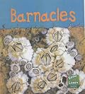 Barnacles (Read & Learn: Sea Life)