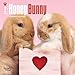 Honey Bunny 2016 Mini 7x7