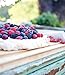 Blackbird Bakery Gluten-Free: 75 Recipes for Irresistible Gluten-Free Desserts and Pastries