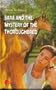 Sara and the Mystery of the Thoroughbred