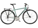 Bianchi Via Delle Battaglie (2009) (Rahmengr&ouml;sse: 58 cm) Trekking Fahrrad Trekkingrad Reiserad 28 Zoll Fahrr&auml;der Herren