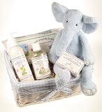Bath Time New Baby Boy Basket