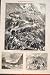YARKUND MISION MULES BAGGAGE TRAIN TENT KARAKASH 1874