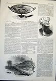 ETRUSCAN TAZZA JONES NORTHAMPTON STEEPLE DOST MOHAMED