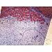 Mammal Adipose Tissue, w.m. Microscope Slide