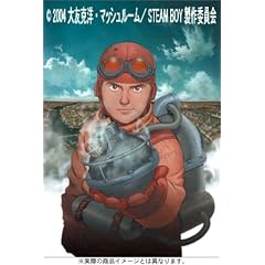 �X�`�[���{�[�C �ʏ�� [DVD]
