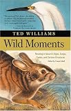 Wild Moments Wild Moments