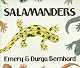 Salamanders