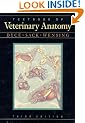 Textbook of Veterinary Anatomy