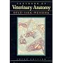 Textbook of Veterinary Anatomy