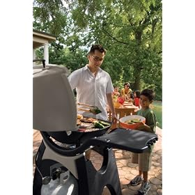 discount Weber 426001 Q 300 Propane Gas Barbecue Grill