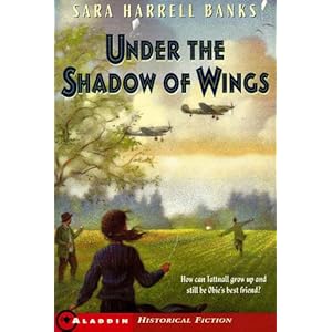 Shadow Of Wings