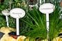 Einzelne Gartenstecker, z.B. "Salbei" f�r Kr�uter / Gem�se / Gartenfr�chte im Vintage-Look, H�he 20 cm, Metall
