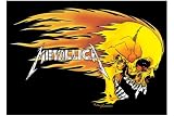 ���å��ݥ������إ᥿�ꥫ��Flaming Skull�ա٥إӡ��᥿��
