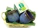 【今すぐ楽しめる!お試しセット】<父の日ギフトに♪>信州の陶芸 松代焼・唐木田窯 ペア湯呑み(2個セット)