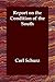 Book Report on the Condition of the South