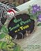 Books : One Small Place in a Tree (Outstanding Science Trade Books for Students K-12 (Awards))