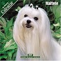Maltese 2007 Wall Calendar