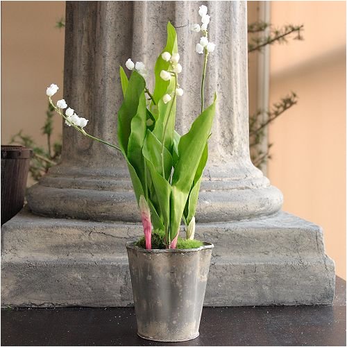 Promises of Spring - Artificial Potted Lily Of The Valley, White