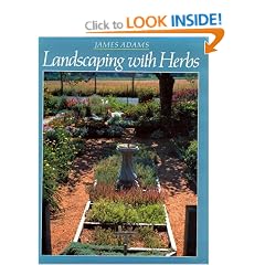 Landscaping With Herbs