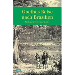 Goethes Reise nach Brasilien. Gedankenreise eines Genies: Die Gedankenreise eines Genies