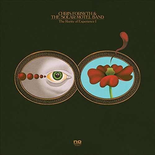 Album Art for The Rarity of Experience (2xLP) by Chris Forsyth & The Solar Motel Band