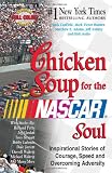 Chicken Soup for the NASCAR Soul