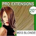 Pro Extensions 20" x 39" #613 Platinum Blonde 100% Clip on in Human Hair Extensions