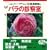 �o���E�̃t�@�[�u���搶 Dr.�^���N�Y�̃o���̐f�@�� (�x�l�b�Z�E���b�N BISES BOOKS)