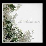 Look Outside Your Window