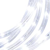 Philips LED Rope String Lights - White/ White Wire (9')