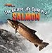 The Bizarre Life Cycle of a Salmon (Strange Life Cycles)