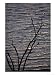 Tree Branches Silhouetted Against Lake Victoria, Kisumu, Kenya Photographic Poster Pr...