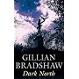 Dark North (Severn House Large Print)