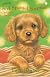 Spaniel Surprise (Animal Ark Pets Christmas)
